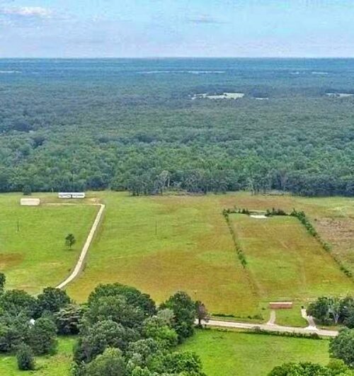 For sale 21 (+/-) acres in the Caddo Mills/Mt. Pleasant area
